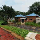 덕양공인중개사사무소 이미지