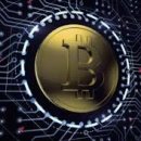 비트클럽 이미지