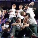 애견사랑 이미지