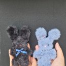 서울 감정선 프로젝트 연남점 40분 모루인형 만들기 체험 내돈내산 솔직후기