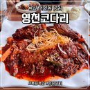 서천동 | 용인 서천동 맛집 영천코다리 조림 내돈내산 후기