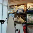 수락동물병원 이미지