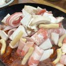 빨간쭈꾸미 이미지