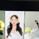 프로필 사진, 플라워컨셉화보 잘 찍는 모노무드랩 사진관 후기
