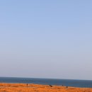 신천목장 이미지