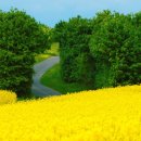 백양 관광호텔 이미지