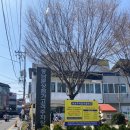 풍남문상점가 이미지