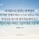 삶 이미지