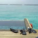 놀이터당구장 | 몰디브 리조트 추천, 라야바이앳모스피어 4박6일 신혼여행 후기