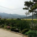 들꽃민박 이미지