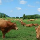 우리소농장 이미지