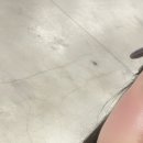 새움빌딩 | 25년 11월 첫 주