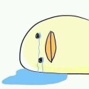 다찌노미 이미지