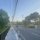 오작교장어 이미지