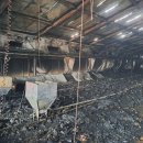 만수양계장 이미지