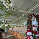 담양을 담다 | 광주 근교 식물 인테리어가 매력적인 담양 카페 ”담다“