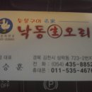 낙동생오리 이미지