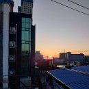 일흥장 네이버블로그
