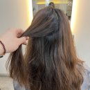 조양래 동물병원 미용실 | [공지] 안양 범계 미용실 어반베이지 극손상모 새치커버 톤다운 염색후기 (은서 디자이너님)