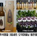 도덕마을