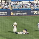 영광세탁소 | 25년 클래식시리즈 2일차 직관후기 + 라팍콘서트 영상