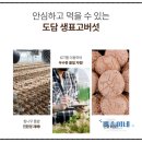 생표고버섯 버섯요리 집밥 레시피 추천 농업회사법인도담 선물세트 추천