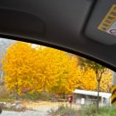 순라황토펜션 이미지