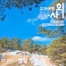 청령포초등학교 | 강원도 영월 장릉 단종역사여행 가볼만한곳