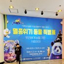 야외공연장 | 창원 아이랑 진해 멸종위기 동물 특별전 전시관 관람후기 진해야외공연장