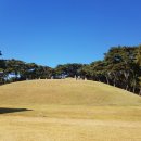 세종침장 - 세종특별자치시 장안로 6-1 | 세종침장