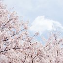 화개119지역대 이미지