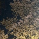 홍점(김동환집뒤) | 2026년 서울 벚꽃 명소 🌸 석촌호수 4월 1일 후기 + 벚꽃축제 일정 (야경 분위기 미쳤다)