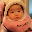 스시하나바 이미지