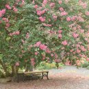 고려동유적지 이미지