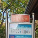 (유)뉴하늘관광 | [중국 무석 여행]2층 관광버스 '러유 2선(乐游2线)' 타고 매원에서 니엔화완까지