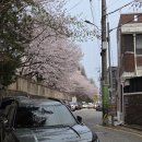 비학산 | 광주도배에서 유독 고객님들이 광주꼼꼼도배를 찾는 이유..??