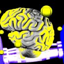 Personal Training GYM 이미지