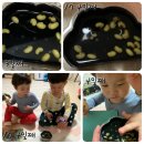 성진콩나물 이미지