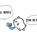 바른개 생활 이미지