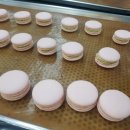 세종요리제과제빵학원 이미지