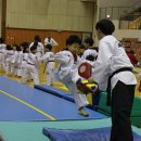 태권박사 체육관 이미지