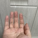 독일맥주효모환 효과와 부작용 변화 후기 공유