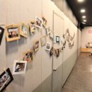 한국노바티스㈜ 이미지