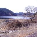 함안 대송리 늪지식물 이미지