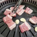 가보자돼지나라