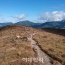 풍경속선물 이미지