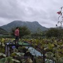 선길농장 이미지