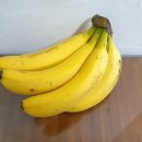 바나나 짐 이미지