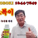 동방팜스 앞 | #사과 지금부터 사용해도 늦지 않습니다. 시비 3~4일후 사과밭이 달라지고 내년이 기대 됩니다! 잎 넓고...