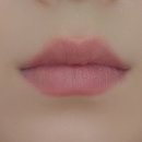 브라운 | 프라다립밤 브라운 내돈내산 후기